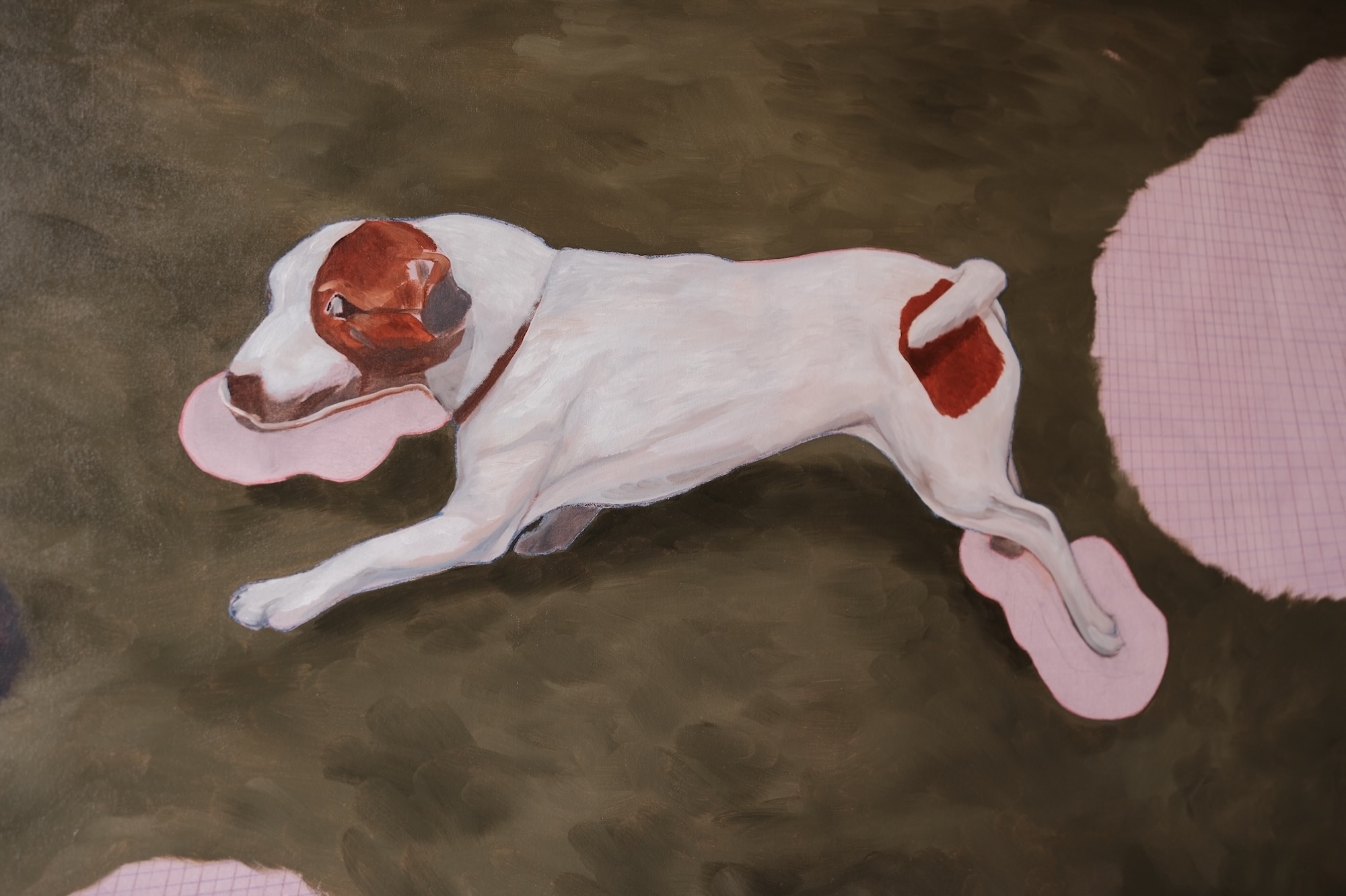 Dog detail